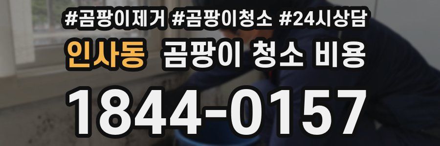인사동 곰팡이 청소 비용