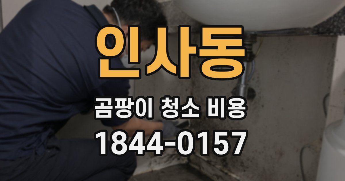 인사동 곰팡이 청소 비용