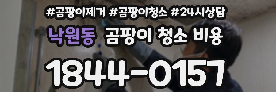 낙원동 곰팡이 청소 비용
