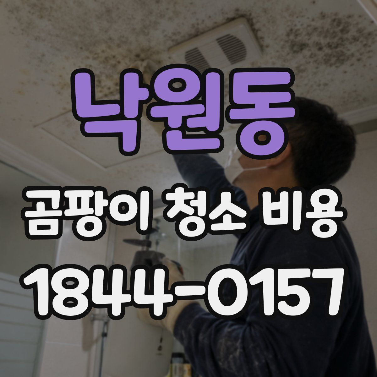 낙원동 곰팡이 청소 비용