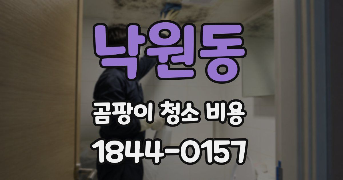 낙원동 곰팡이 청소 비용