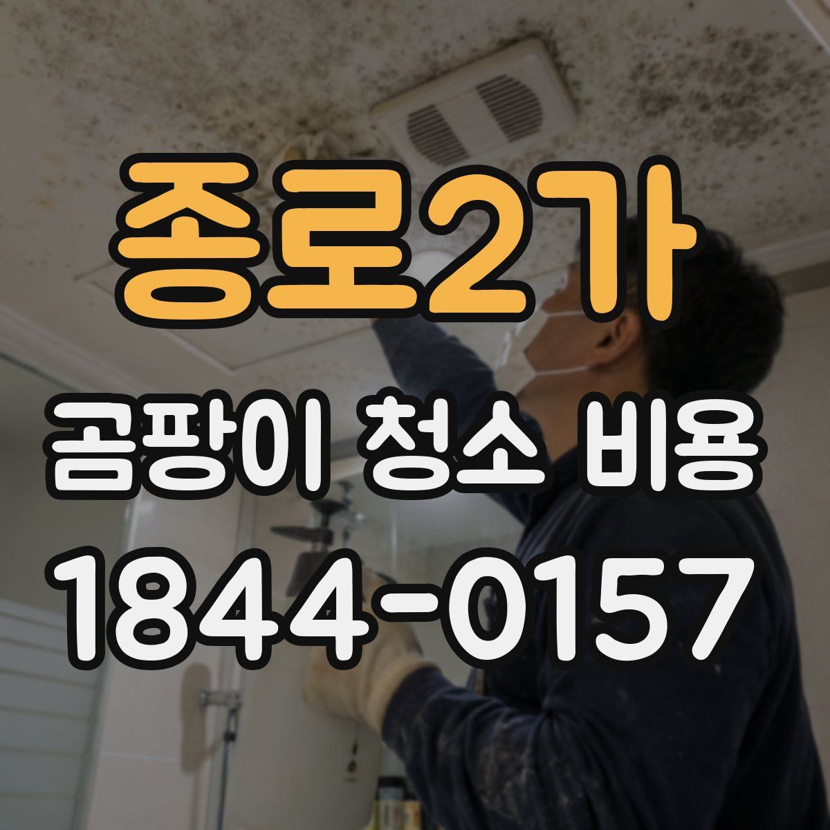 종로2가 곰팡이 청소 비용