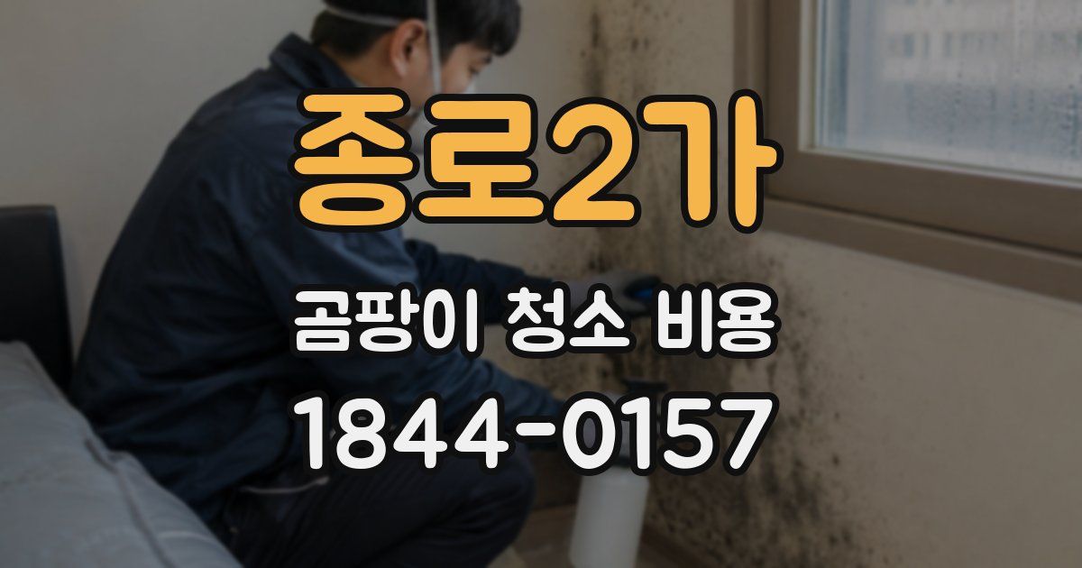 종로2가 곰팡이 청소 비용