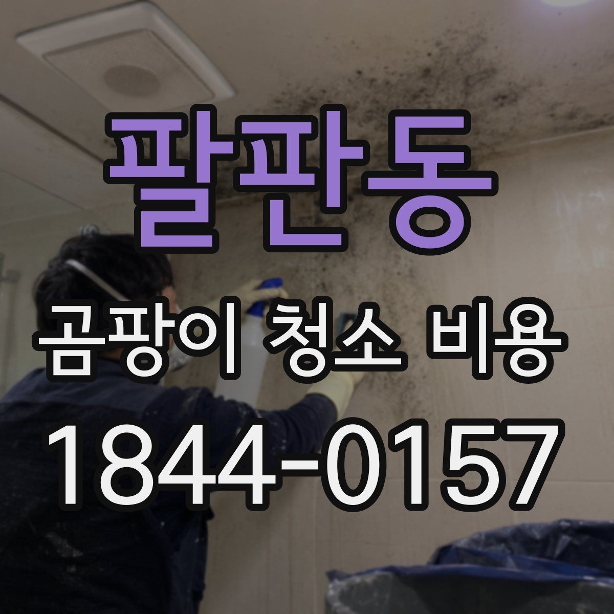 팔판동 곰팡이 청소 비용 입주 전후로 함께 점검할 공간들