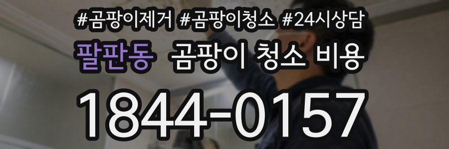팔판동 곰팡이 청소 비용