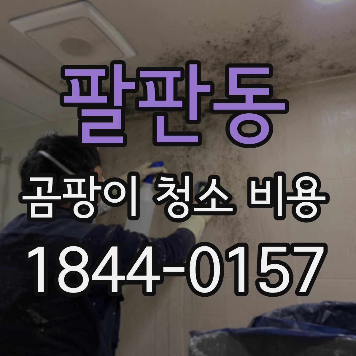 팔판동 곰팡이 청소 비용