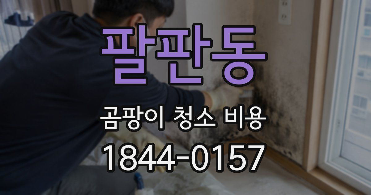 팔판동 곰팡이 청소 비용