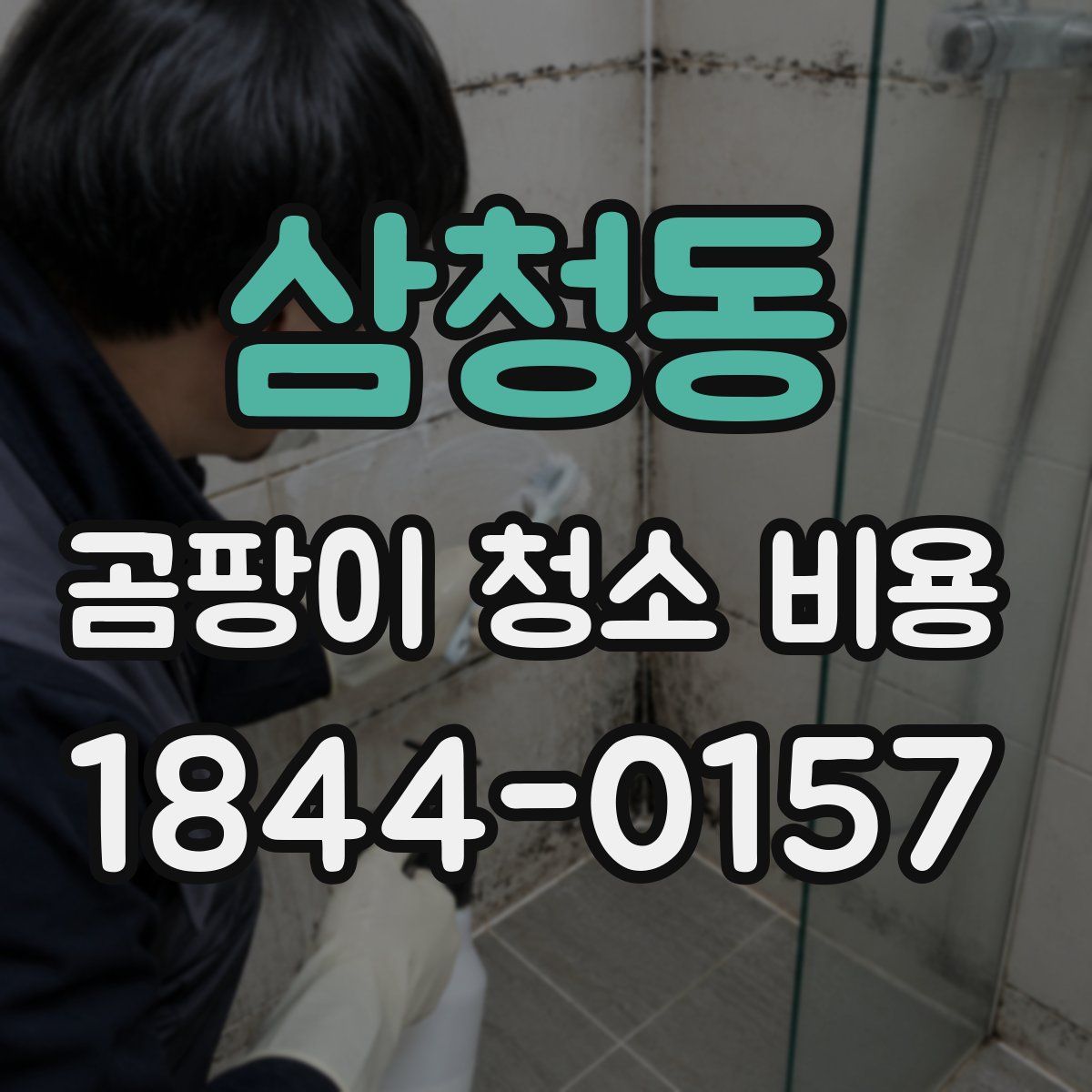 삼청동 곰팡이 청소 비용
