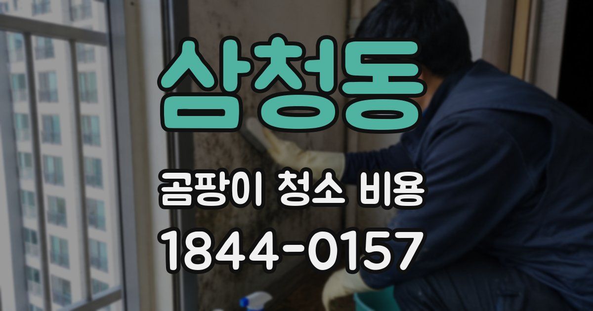 삼청동 곰팡이 청소 비용