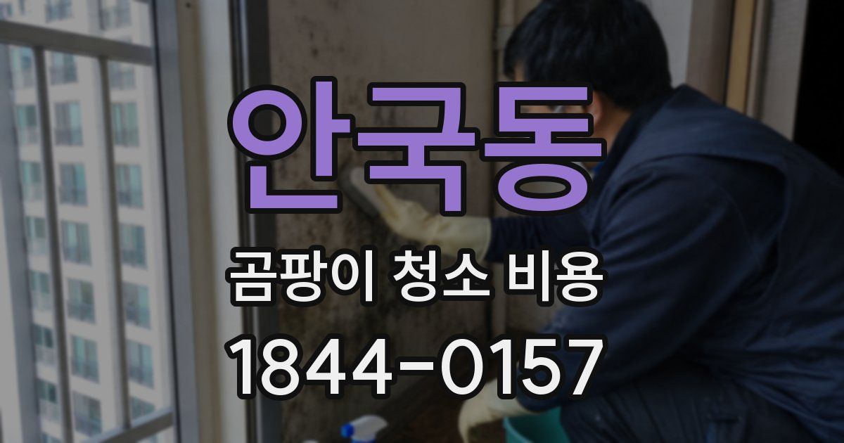 안국동 곰팡이 청소 비용