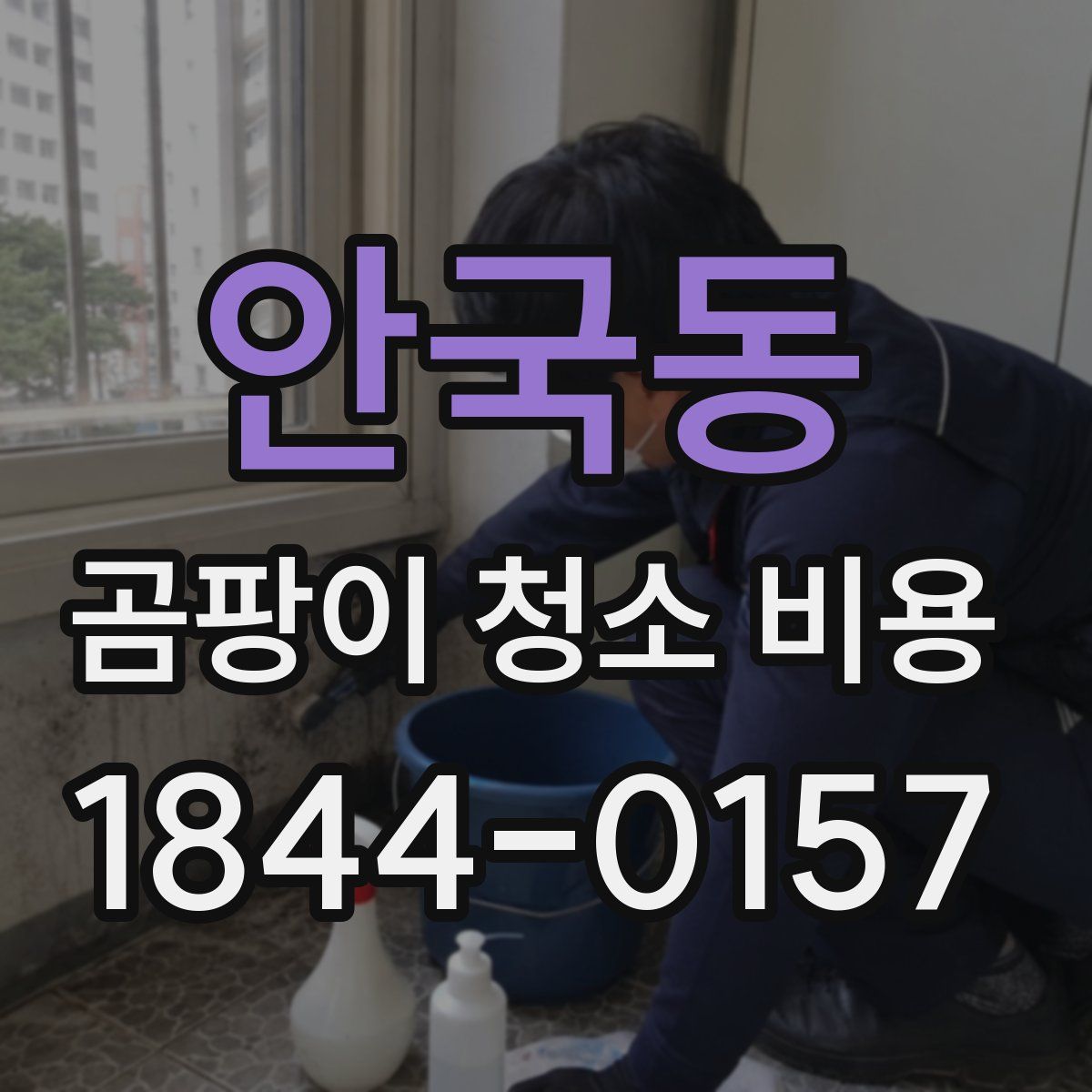 안국동 곰팡이 청소 비용