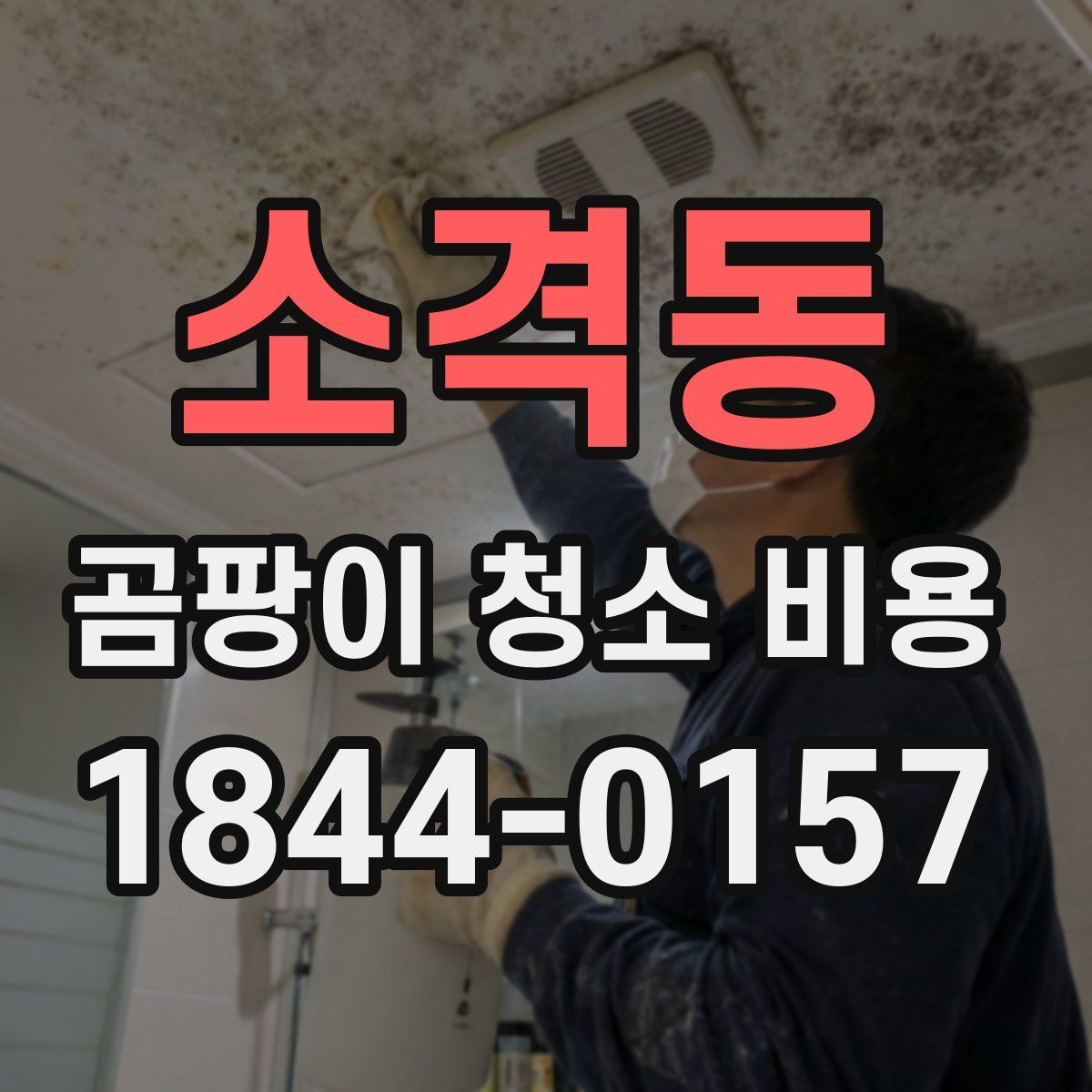 소격동 곰팡이 청소 비용
