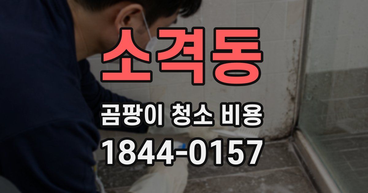 소격동 곰팡이 청소 비용