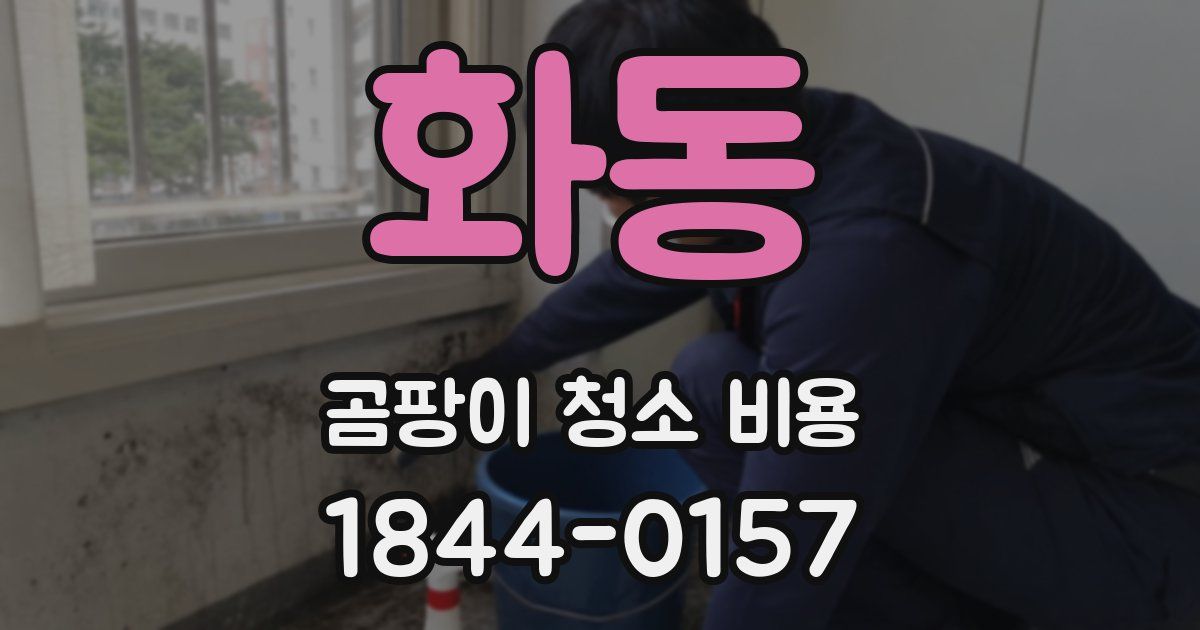 화동 곰팡이 청소 비용