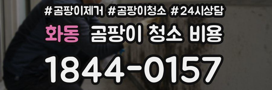 화동 곰팡이 청소 비용