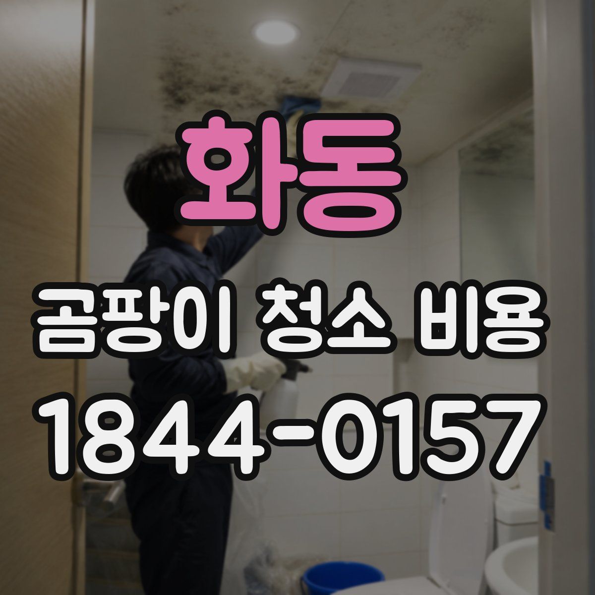 화동 곰팡이 청소 비용