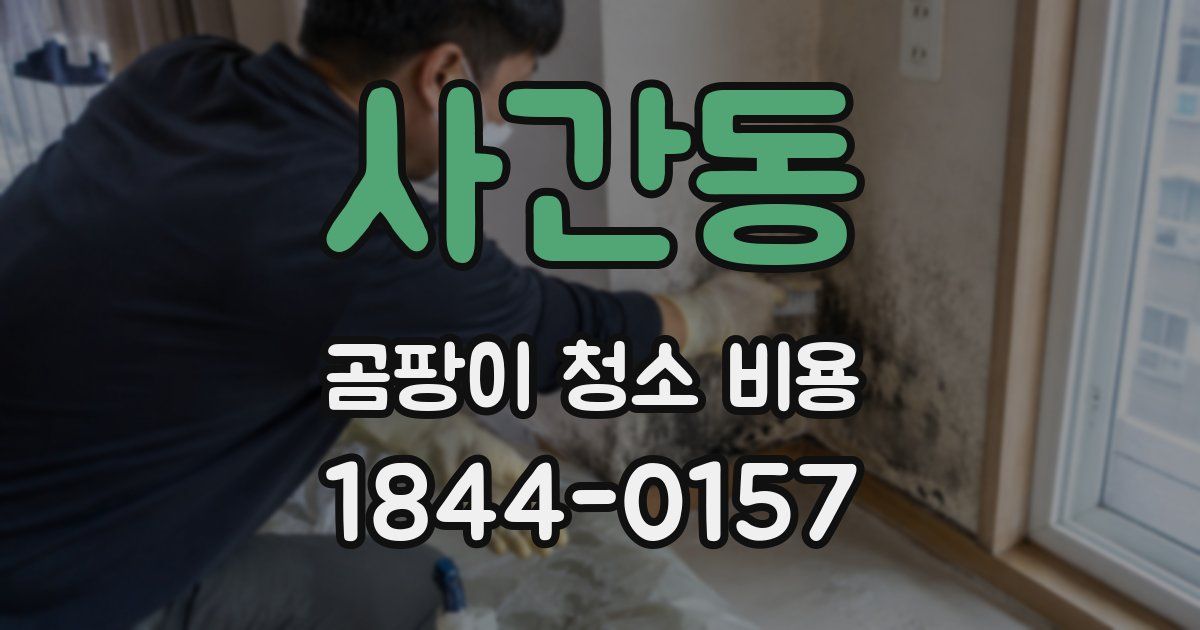 사간동 곰팡이 청소 비용