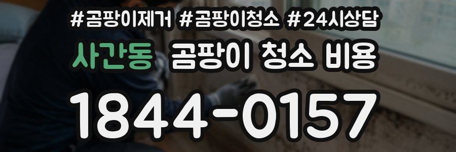 사간동 곰팡이 청소 비용