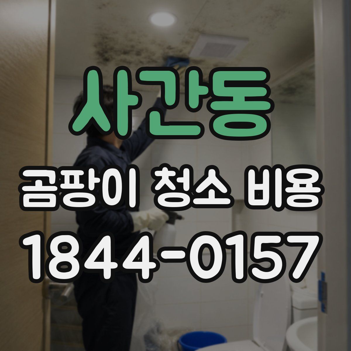 사간동 곰팡이 청소 비용