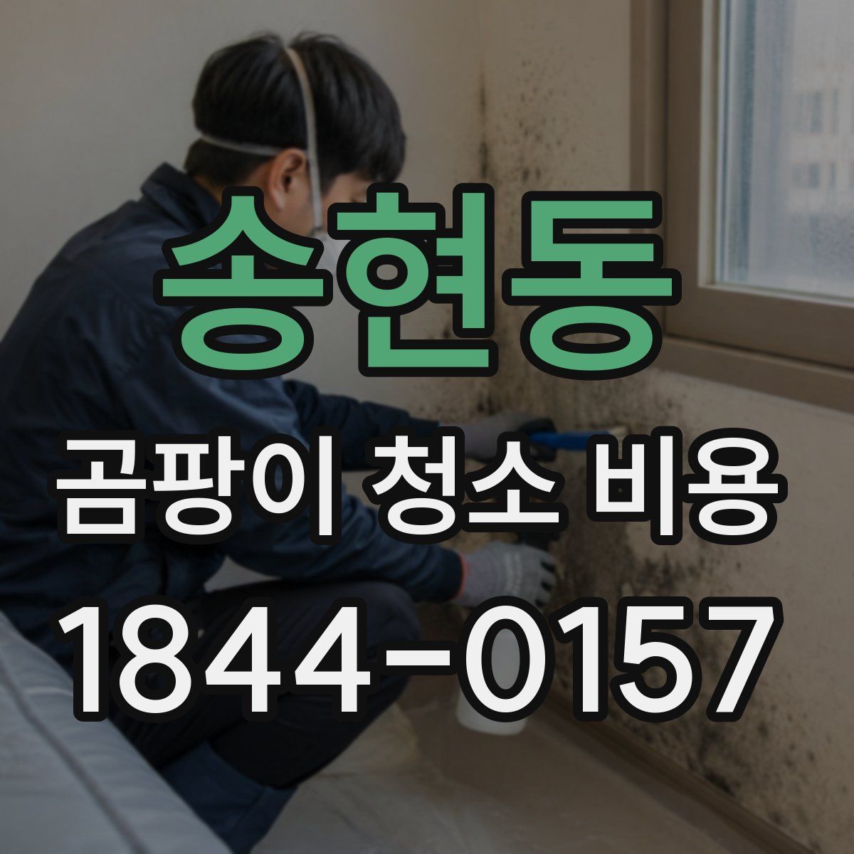 송현동 곰팡이 청소 비용