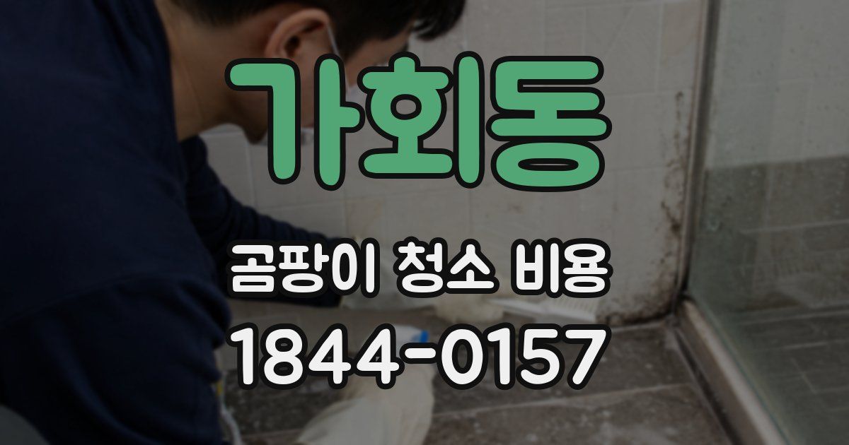 가회동 곰팡이 청소 비용