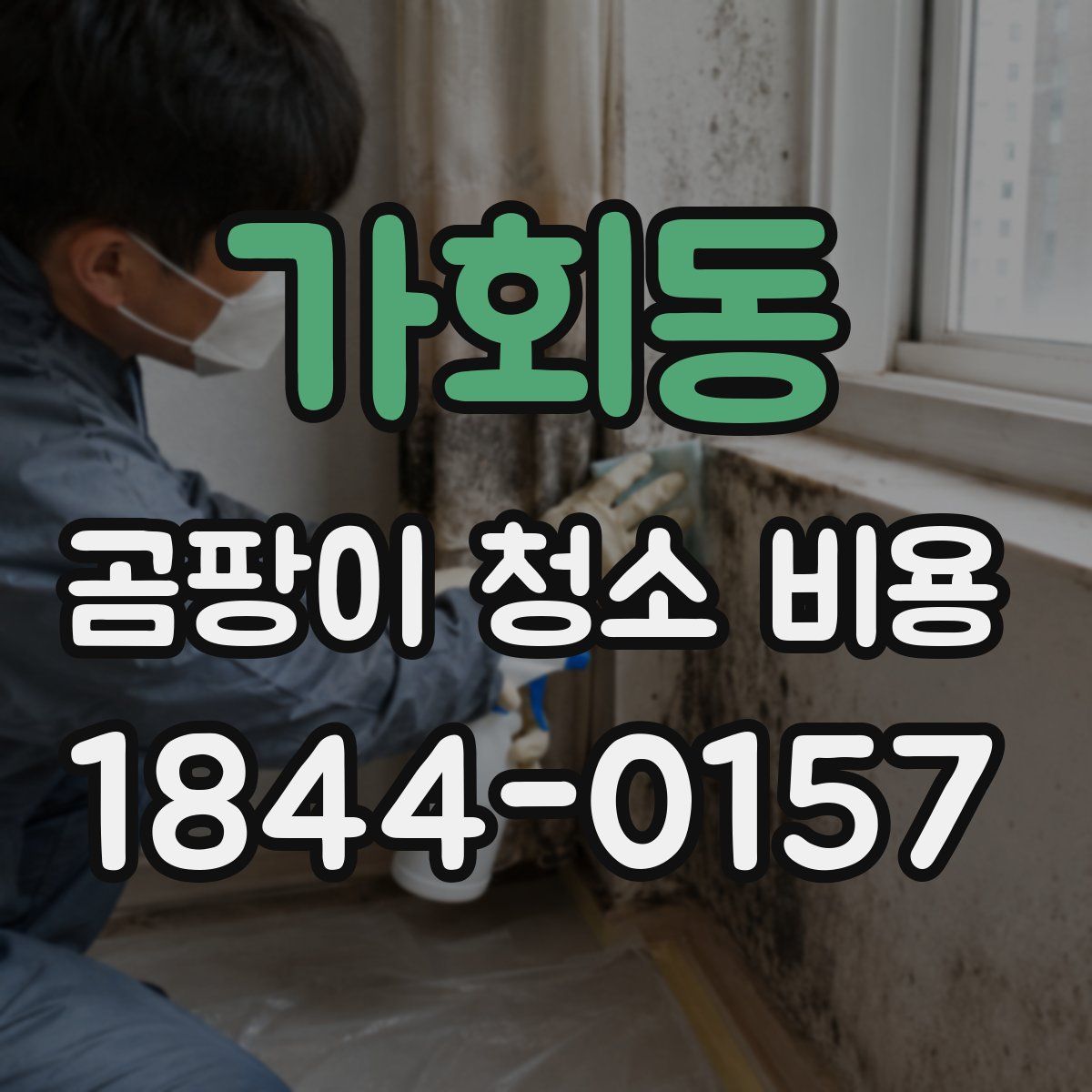가회동 곰팡이 청소 비용