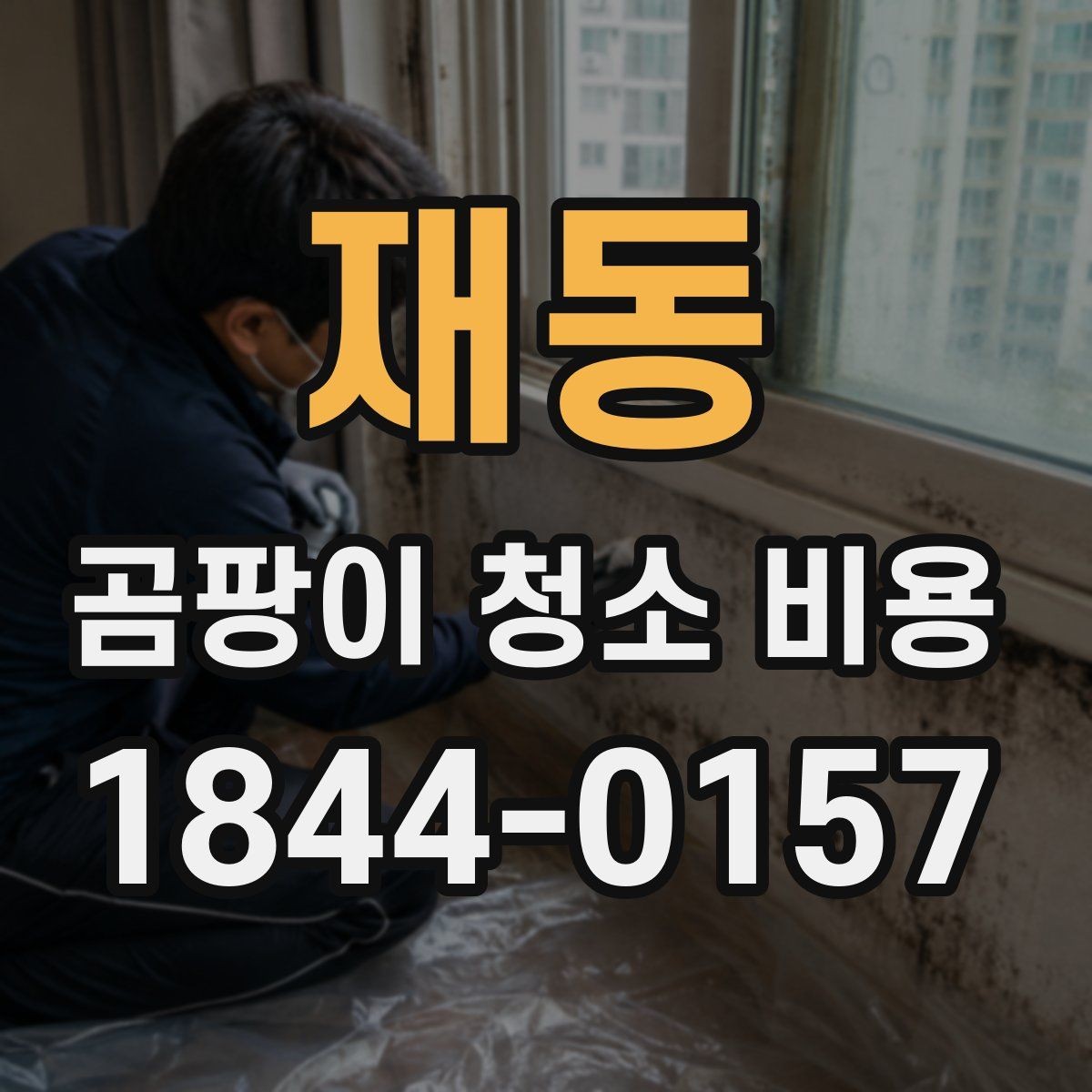 재동 곰팡이 청소 비용 벽지 뜯음이 포함될 때 견적이 달라지는 이유