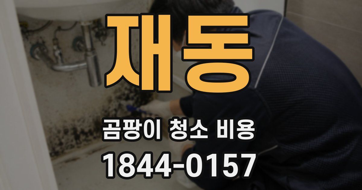 재동 곰팡이 청소 비용