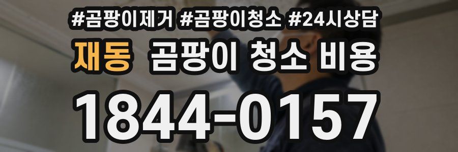재동 곰팡이 청소 비용