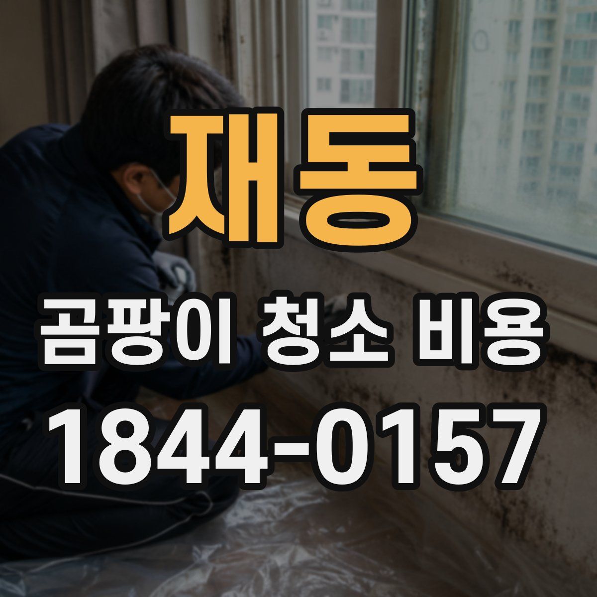 재동 곰팡이 청소 비용