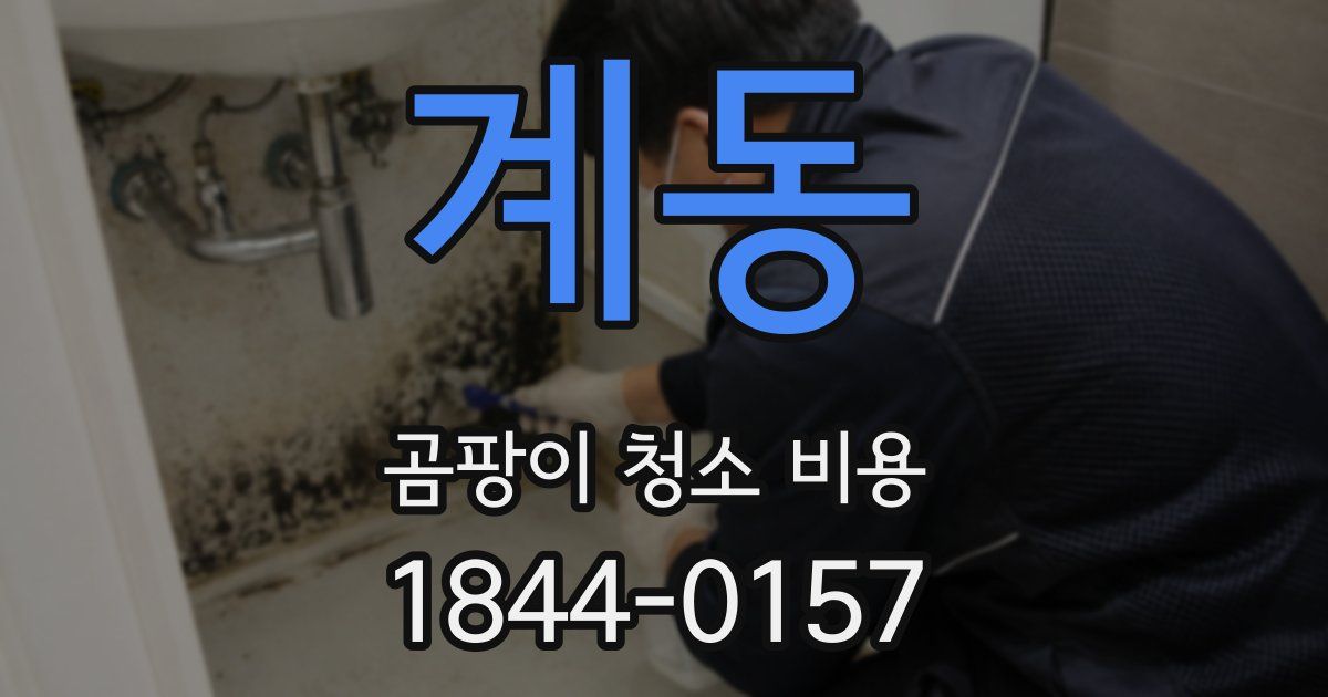 계동 곰팡이 청소 비용