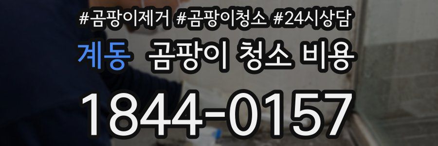 계동 곰팡이 청소 비용