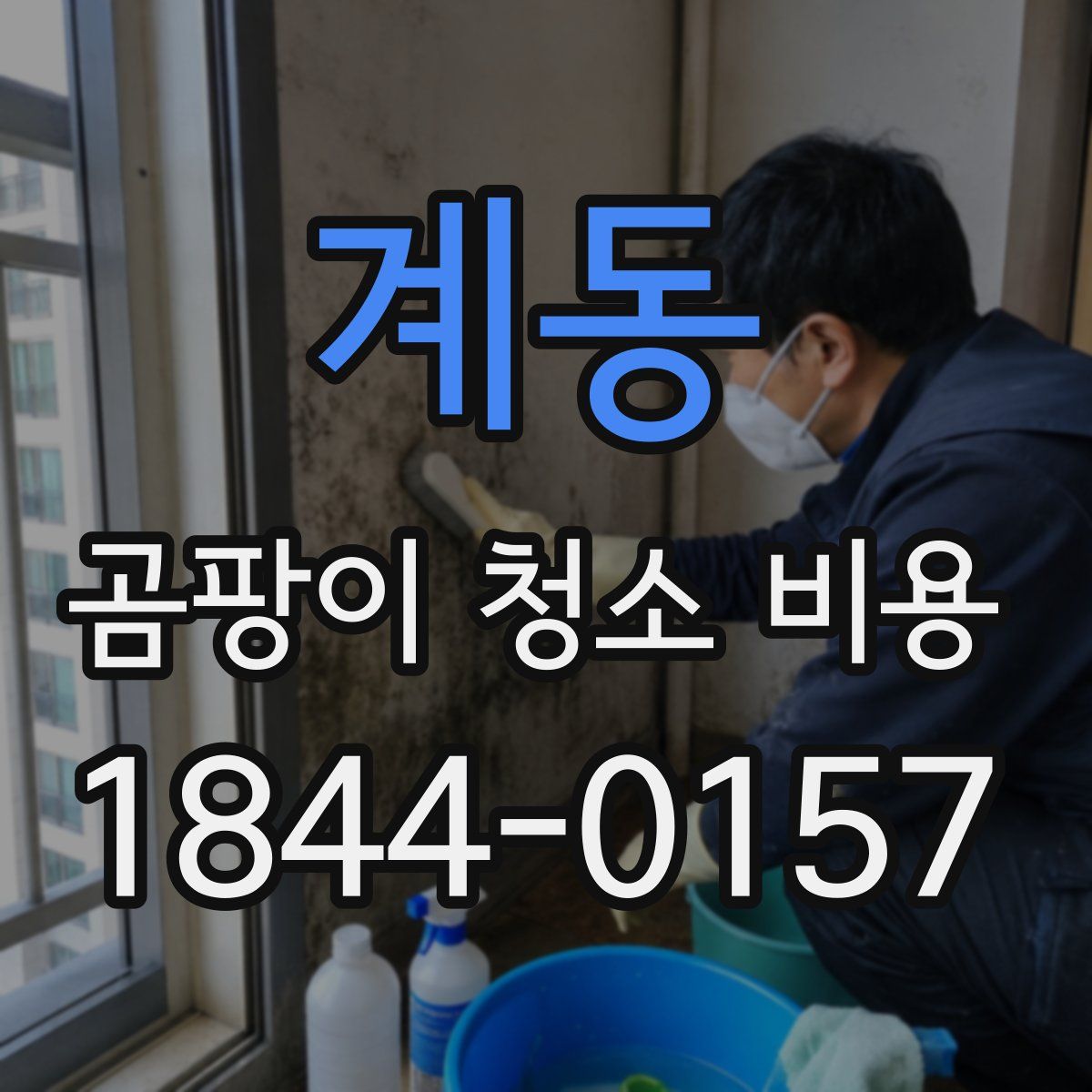계동 곰팡이 청소 비용
