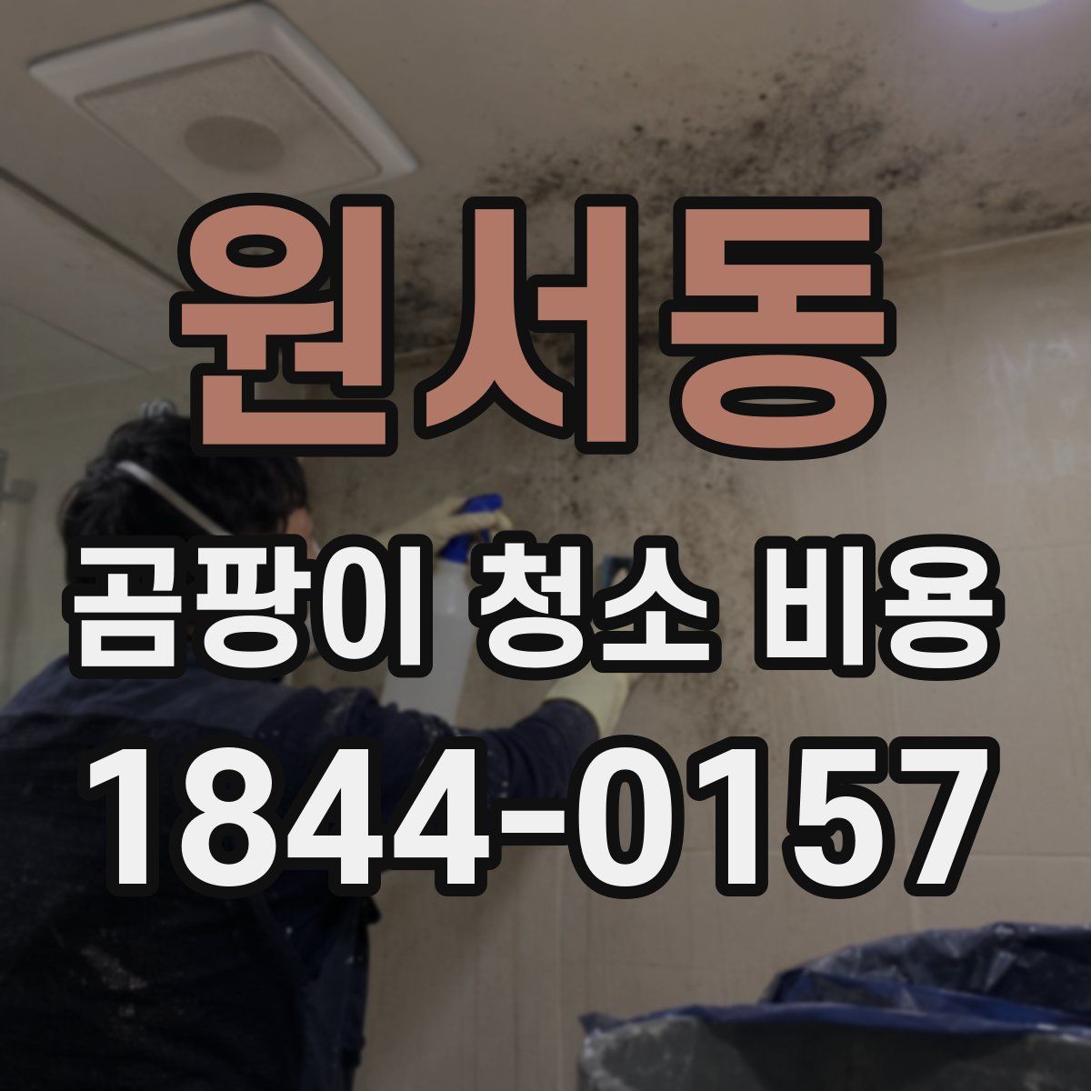 원서동 곰팡이 청소 비용
