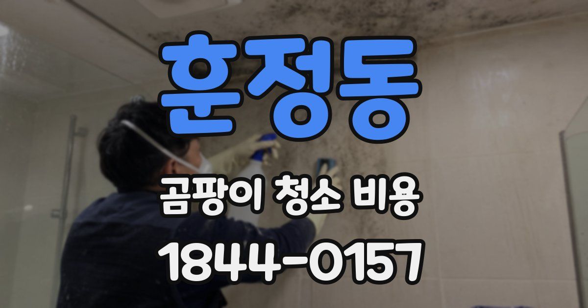 훈정동 곰팡이 청소 비용