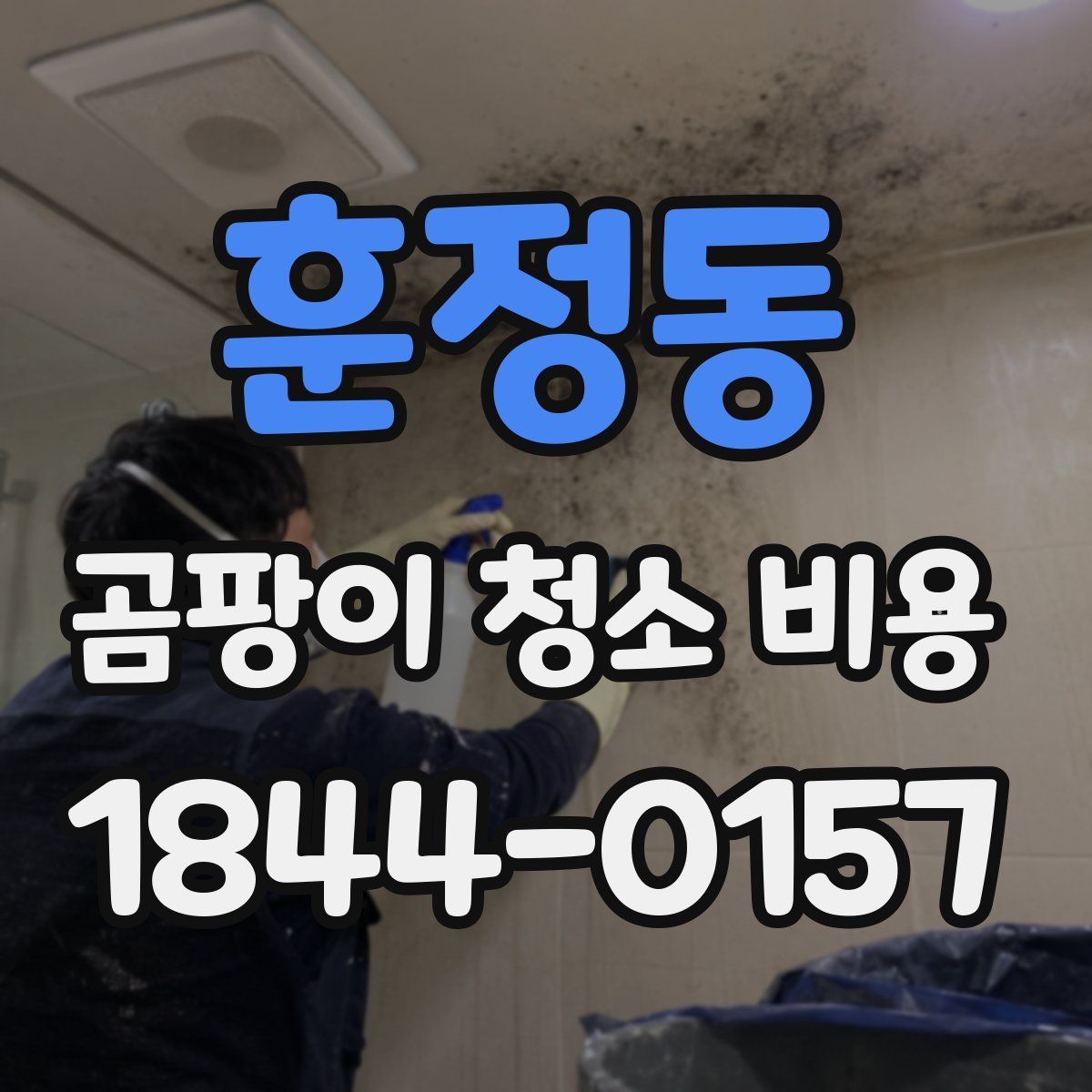훈정동 곰팡이 청소 비용
