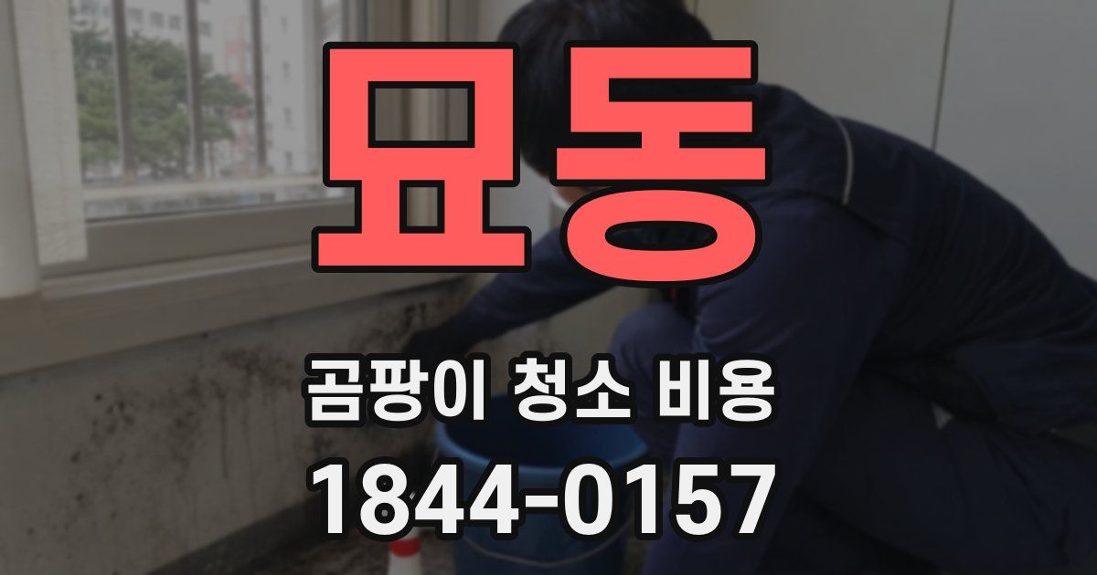 묘동 곰팡이 청소 비용