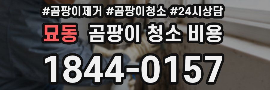 묘동 곰팡이 청소 비용