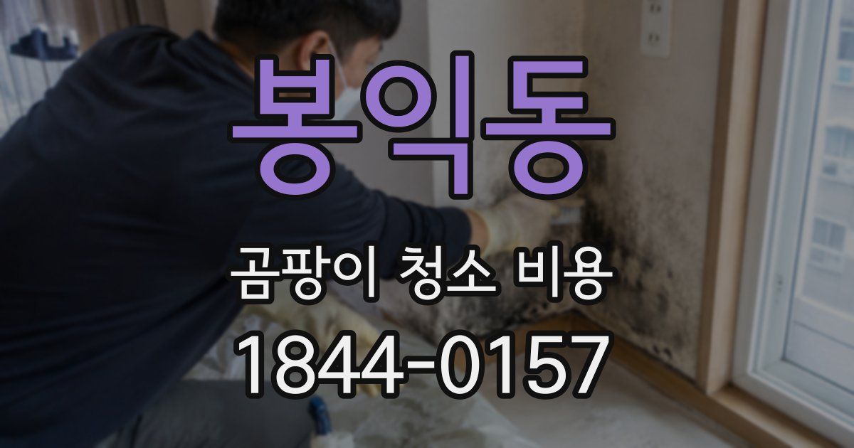 봉익동 곰팡이 청소 비용