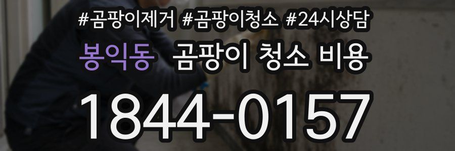 봉익동 곰팡이 청소 비용