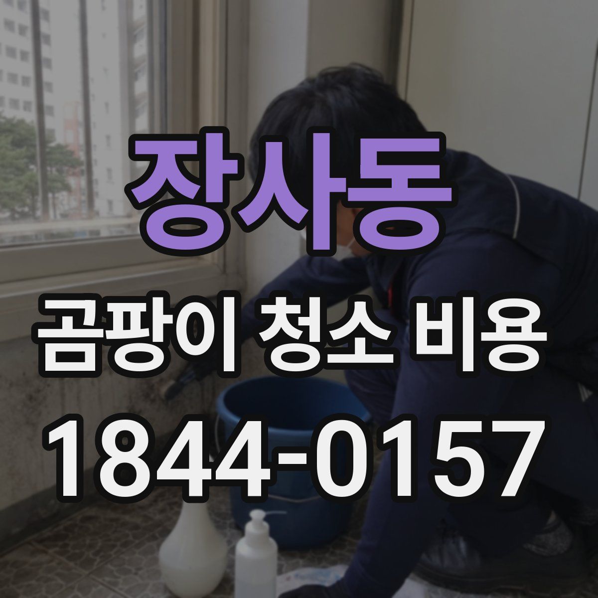 장사동 곰팡이 청소 비용