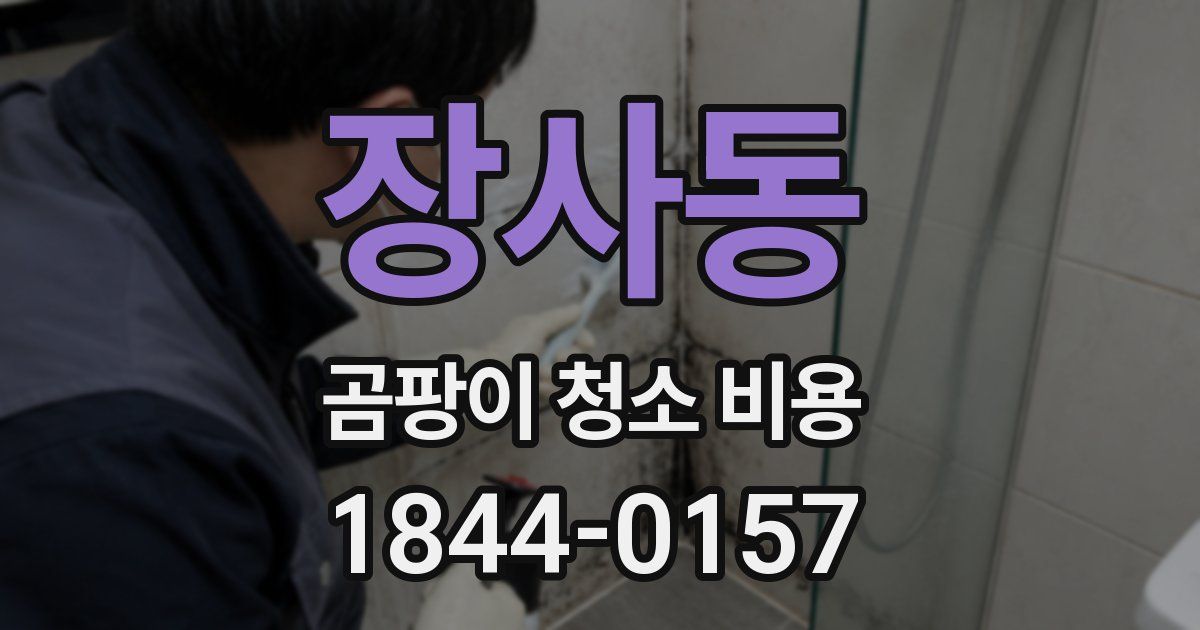 장사동 곰팡이 청소 비용