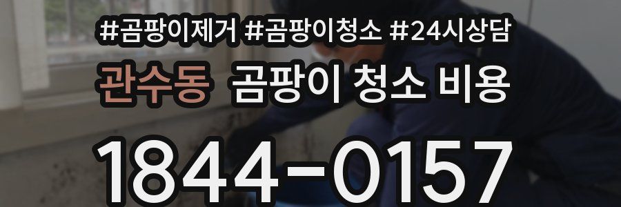 관수동 곰팡이 청소 비용