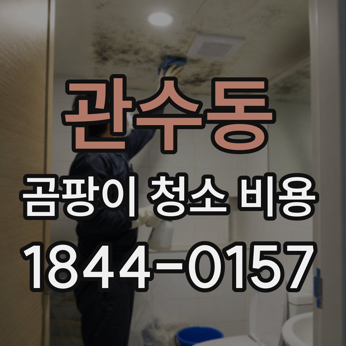 관수동 곰팡이 청소 비용