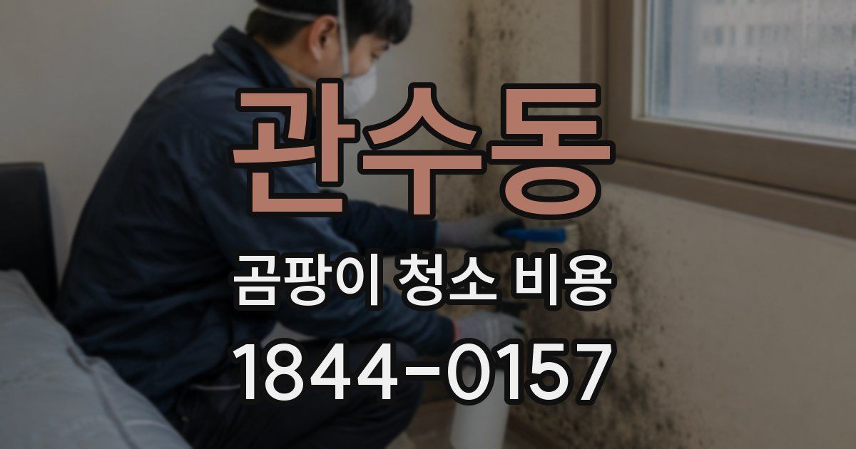 관수동 곰팡이 청소 비용