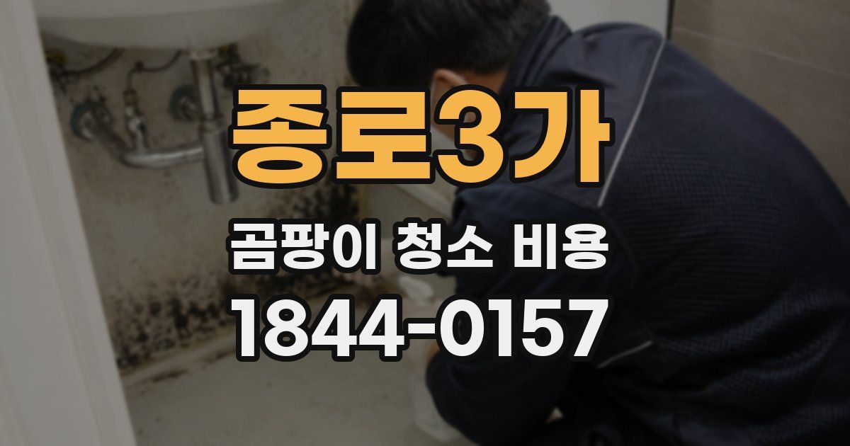종로3가 곰팡이 청소 비용