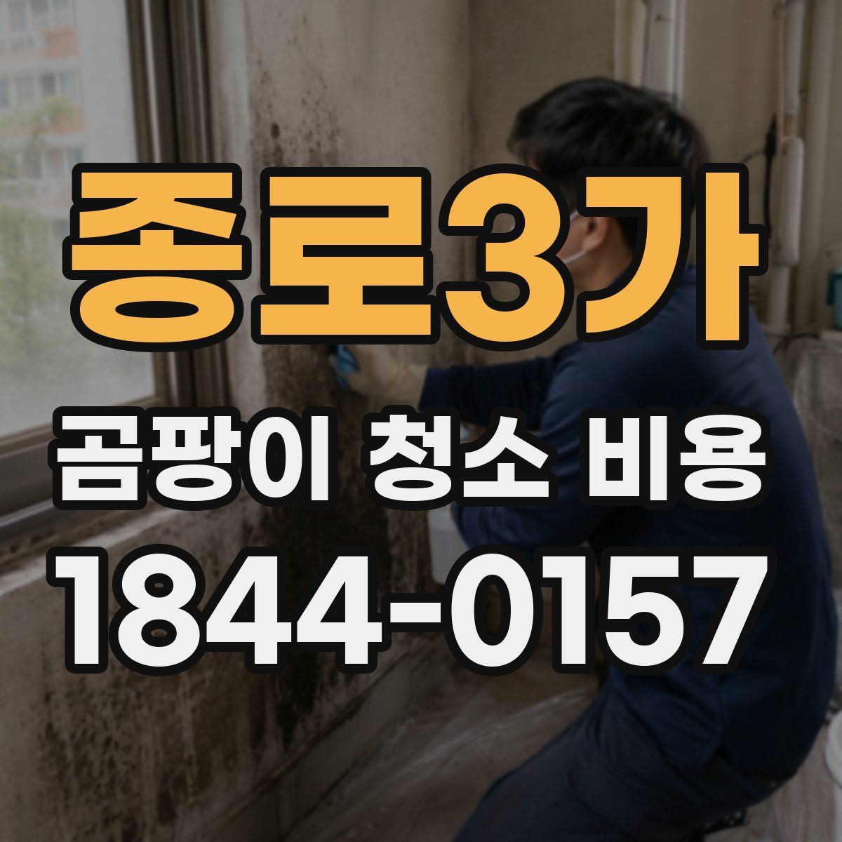 종로3가 곰팡이 청소 비용