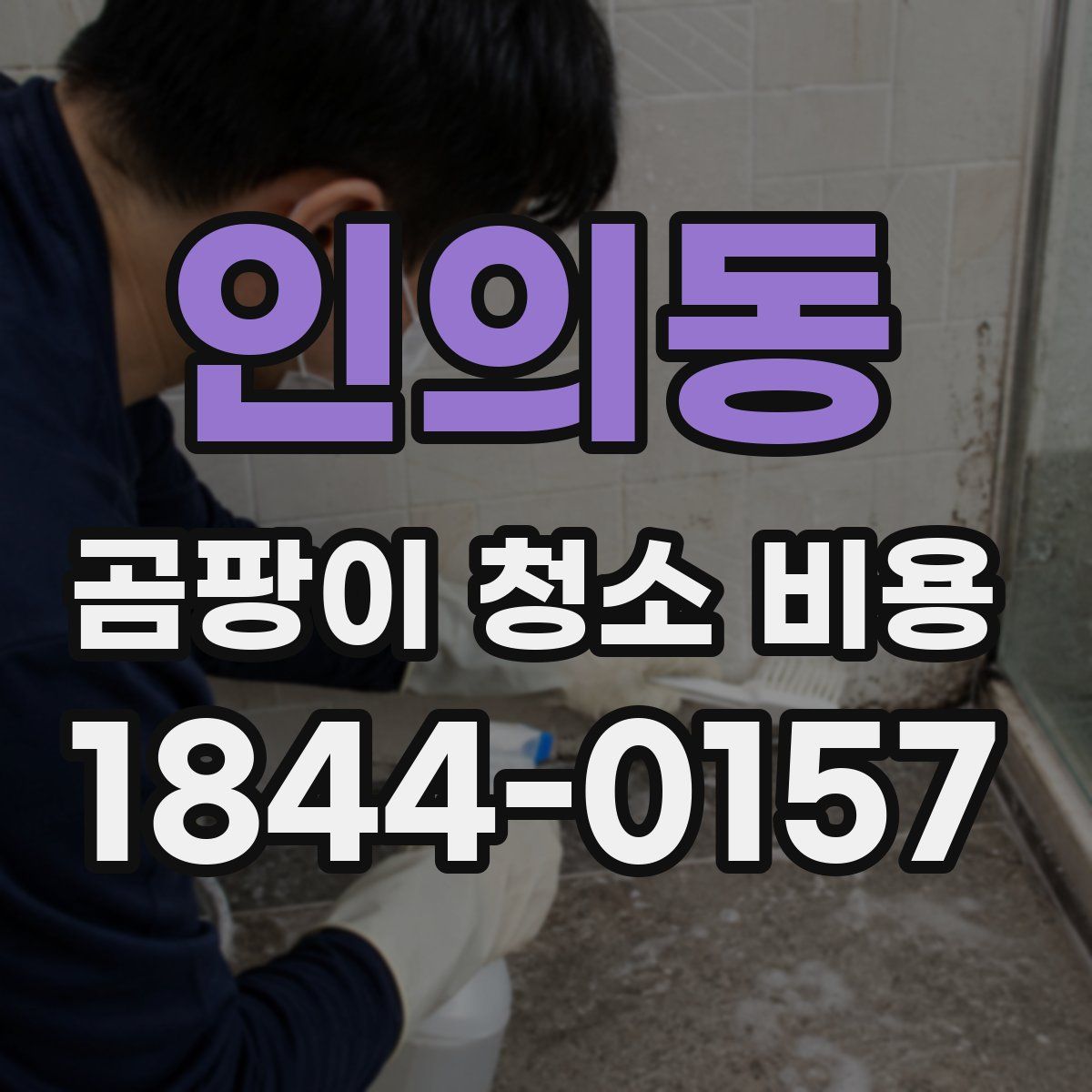 인의동 곰팡이 청소 비용