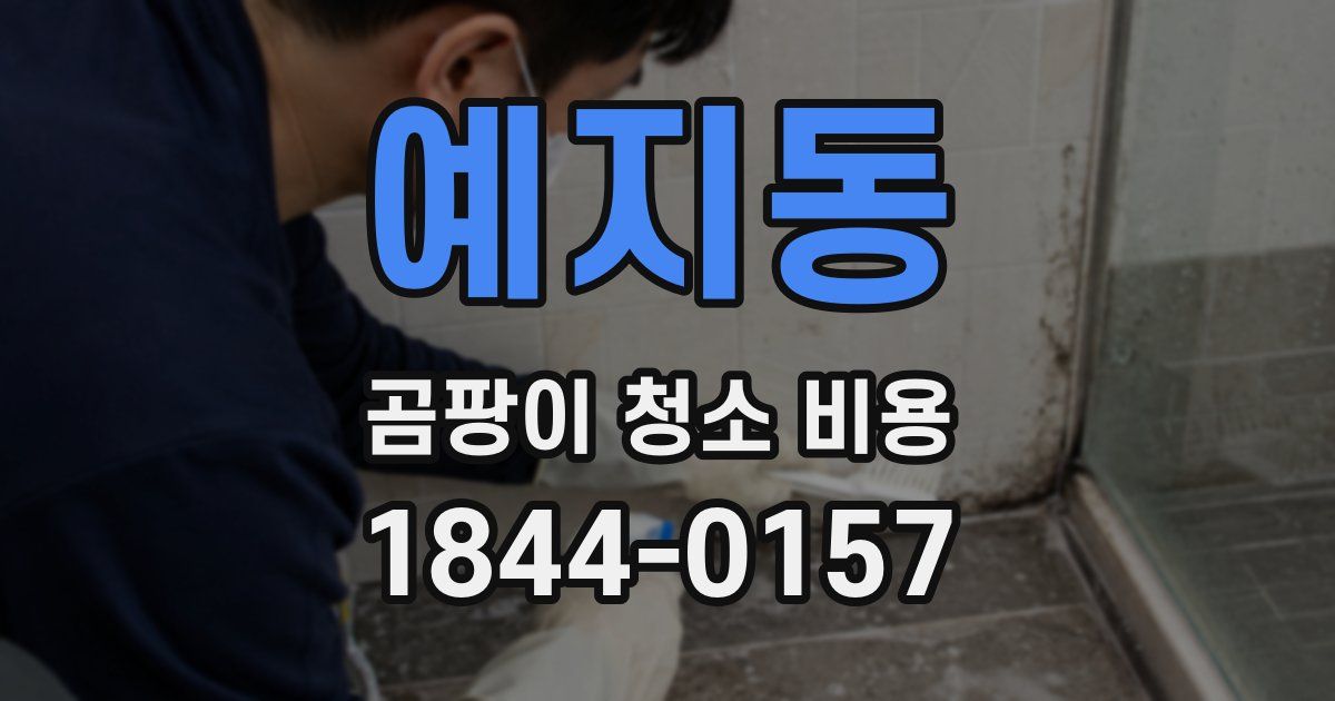 예지동 곰팡이 청소 비용