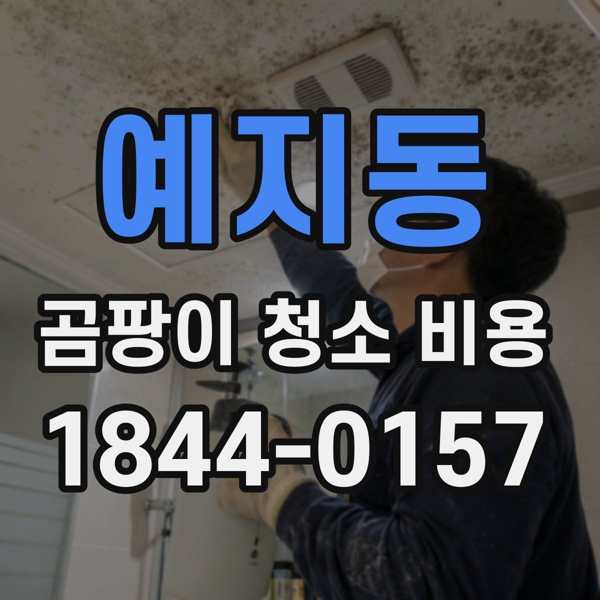 예지동 곰팡이 청소 비용